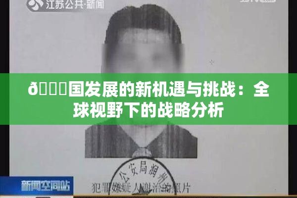 🔞国发展的新机遇与挑战：全球视野下的战略分析