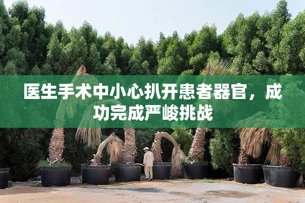 医生手术中小心扒开患者器官，成功完成严峻挑战