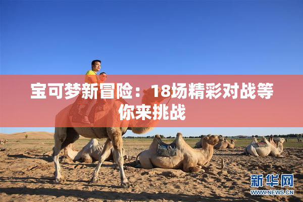 宝可梦新冒险：18场精彩对战等你来挑战