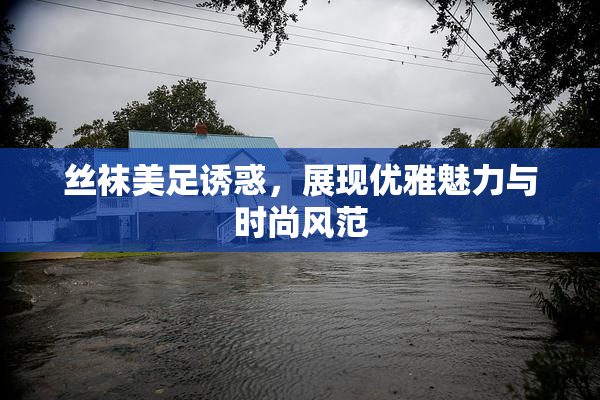 丝袜美足诱惑，展现优雅魅力与时尚风范