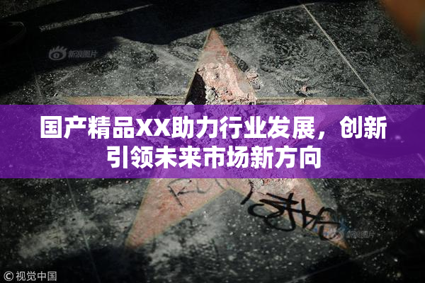 国产精品XX助力行业发展，创新引领未来市场新方向