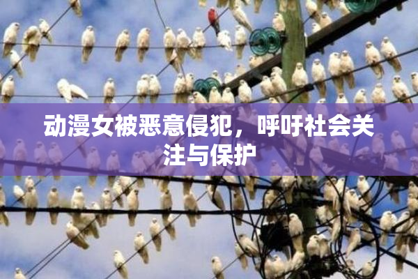 动漫女被恶意侵犯，呼吁社会关注与保护