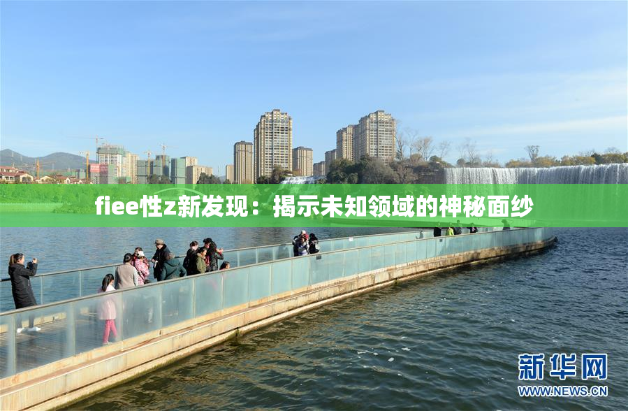 fiee性z新发现：揭示未知领域的神秘面纱