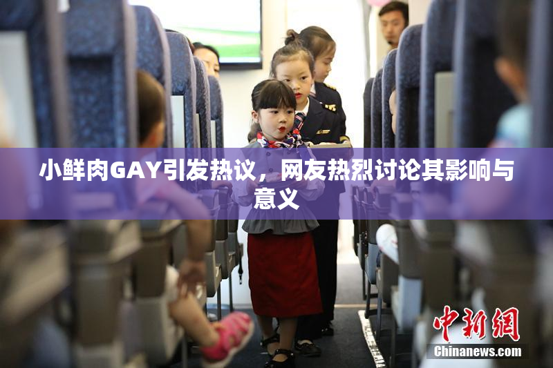小鲜肉GAY引发热议，网友热烈讨论其影响与意义