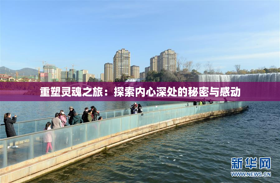 重塑灵魂之旅：探索内心深处的秘密与感动
