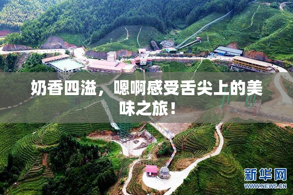 奶香四溢，嗯啊感受舌尖上的美味之旅！