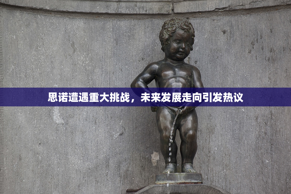 思诺遭遇重大挑战，未来发展走向引发热议