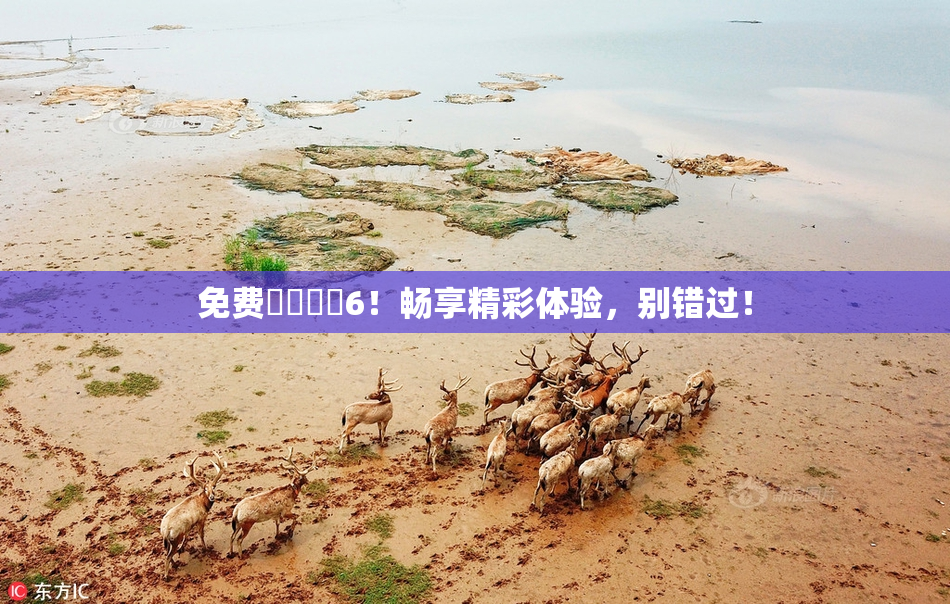 免费❌‌❌‌6！畅享精彩体验，别错过！