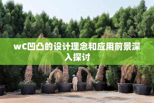 wC凹凸的设计理念和应用前景深入探讨