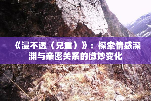 《浸不透（兄重）》：探索情感深渊与亲密关系的微妙变化