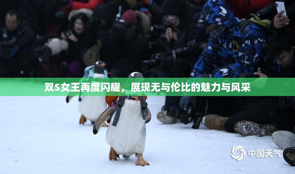 双S女王再度闪耀，展现无与伦比的魅力与风采