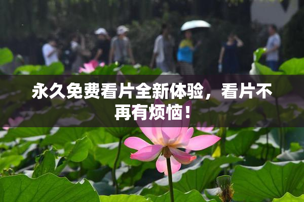 永久免费看片全新体验，看片不再有烦恼！