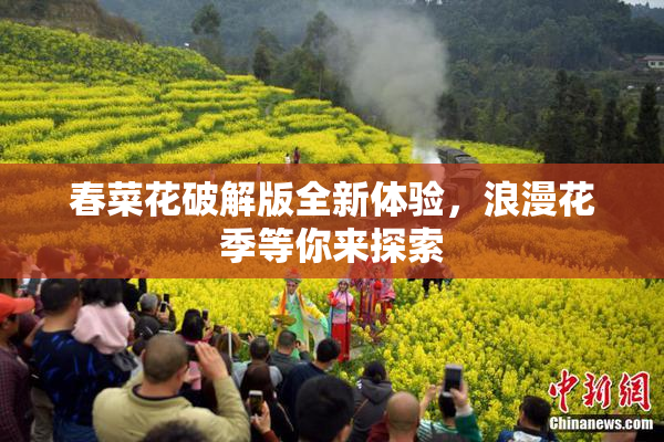 春菜花破解版全新体验，浪漫花季等你来探索
