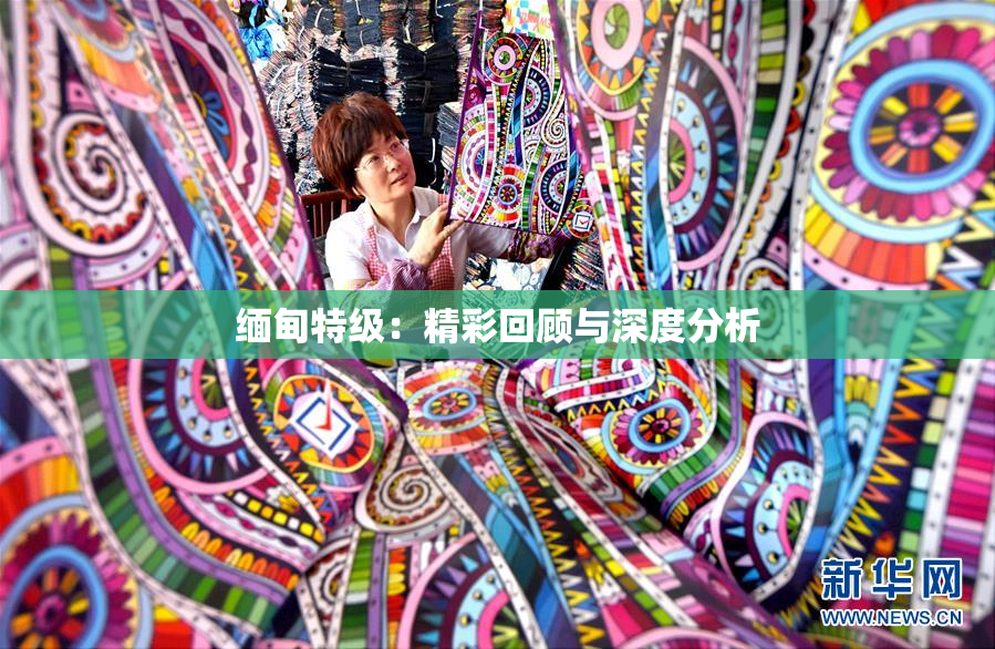 缅甸特级：精彩回顾与深度分析