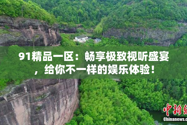 91精品一区：畅享极致视听盛宴，给你不一样的娱乐体验！