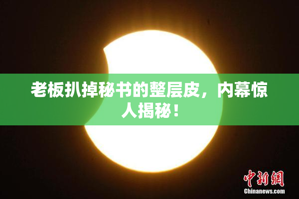 老板扒掉秘书的整层皮，内幕惊人揭秘！