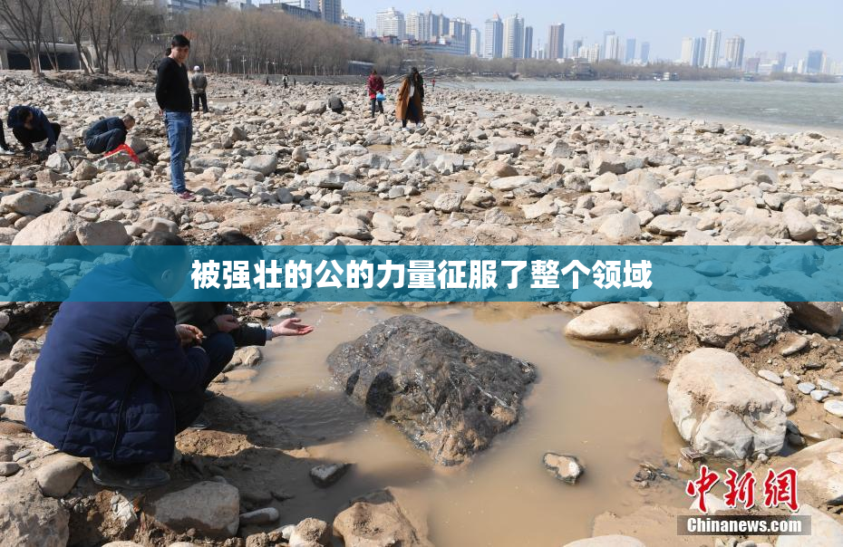 被强壮的公的力量征服了整个领域