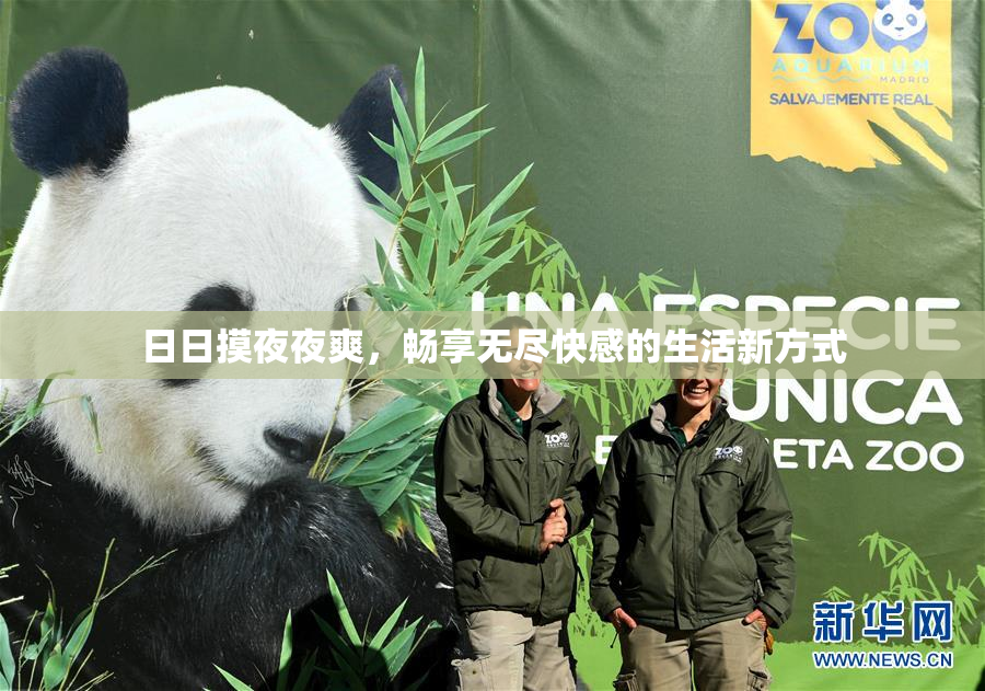 日日摸夜夜爽，畅享无尽快感的生活新方式
