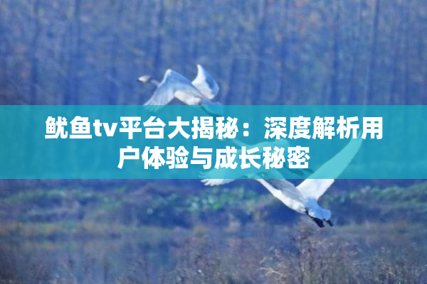 鱿鱼tv平台大揭秘：深度解析用户体验与成长秘密