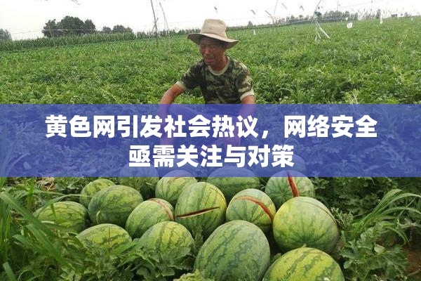 黄色网引发社会热议，网络安全亟需关注与对策