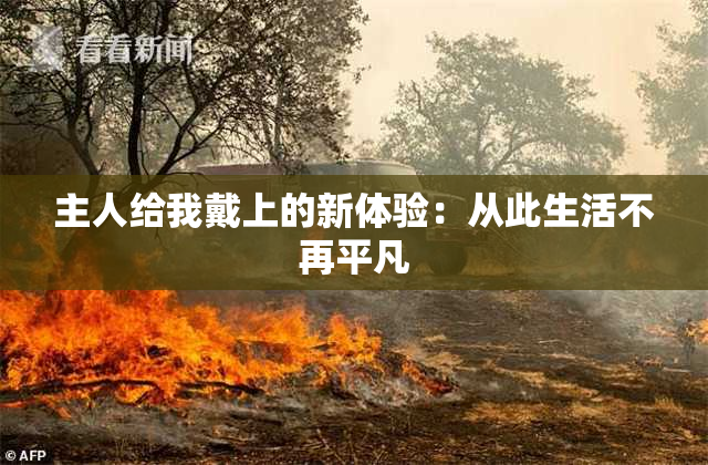 主人给我戴上的新体验：从此生活不再平凡