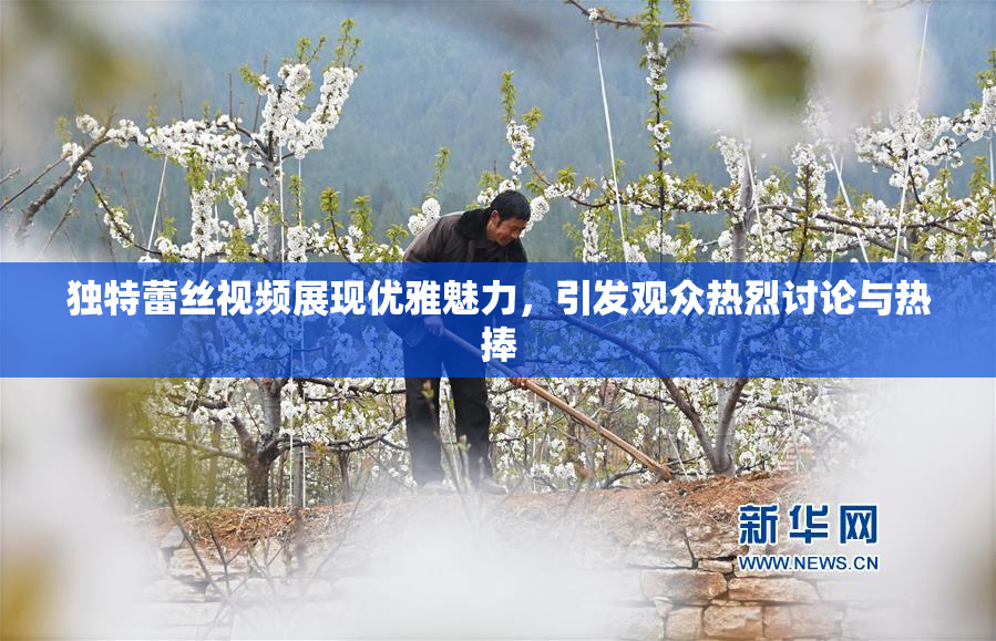 独特蕾丝视频展现优雅魅力，引发观众热烈讨论与热捧