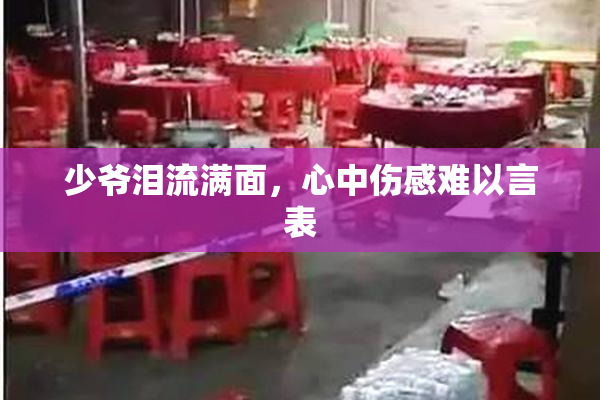 少爷泪流满面，心中伤感难以言表
