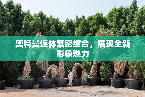 奥特曼连体紧密结合，展现全新形象魅力