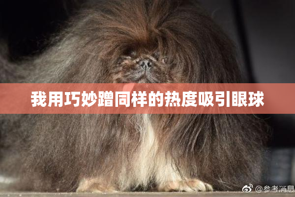 我用巧妙蹭同样的热度吸引眼球