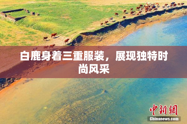 白鹿身着三重服装，展现独特时尚风采