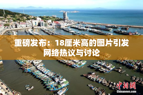 重磅发布：18厘米高的图片引发网络热议与讨论