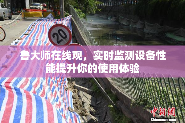 鲁大师在线观，实时监测设备性能提升你的使用体验