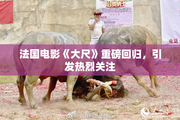 法国电影《大尺》重磅回归，引发热烈关注