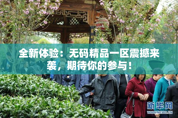 全新体验：无码精品一区震撼来袭，期待你的参与！