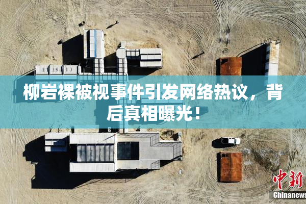 柳岩裸被视事件引发网络热议，背后真相曝光！