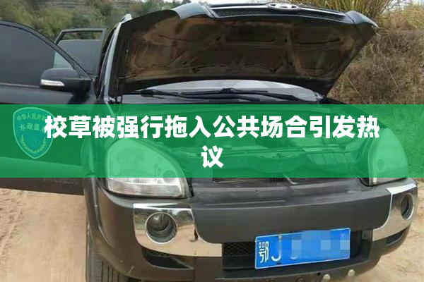 校草被强行拖入公共场合引发热议