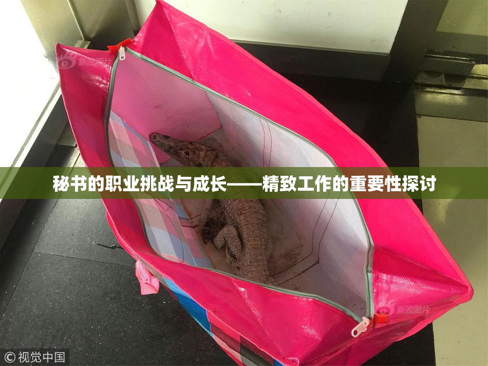 秘书的职业挑战与成长——精致工作的重要性探讨