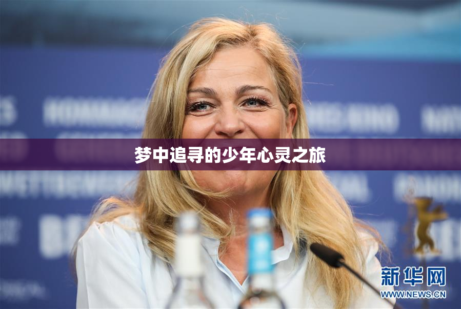 梦中追寻的少年心灵之旅
