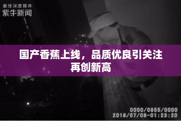 国产香蕉上线，品质优良引关注再创新高
