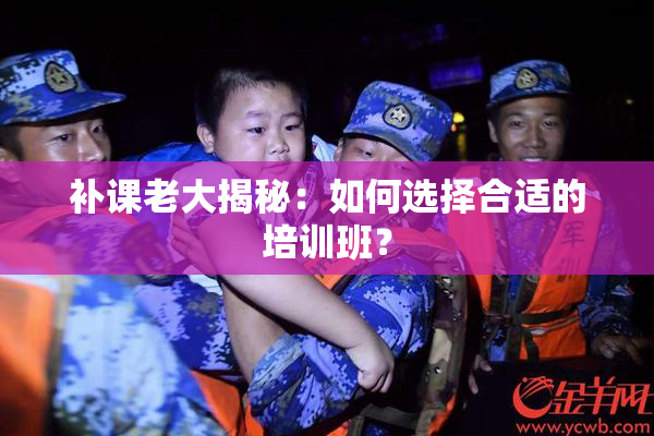 补课老大揭秘：如何选择合适的培训班？