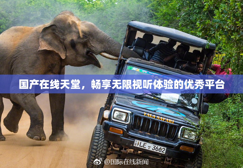 国产在线天堂，畅享无限视听体验的优秀平台