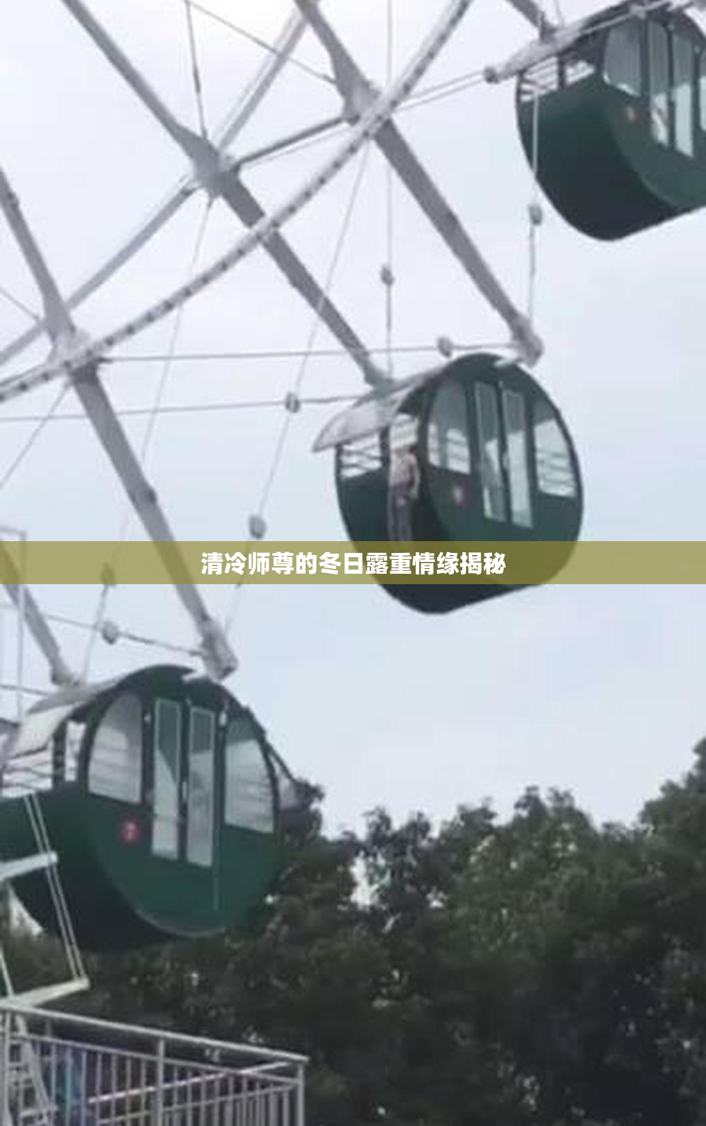 清冷师尊的冬日露重情缘揭秘