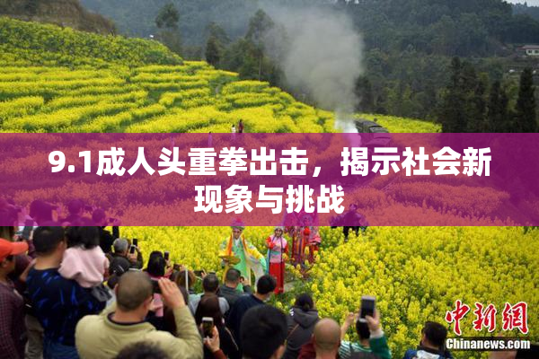 9.1成人头重拳出击，揭示社会新现象与挑战