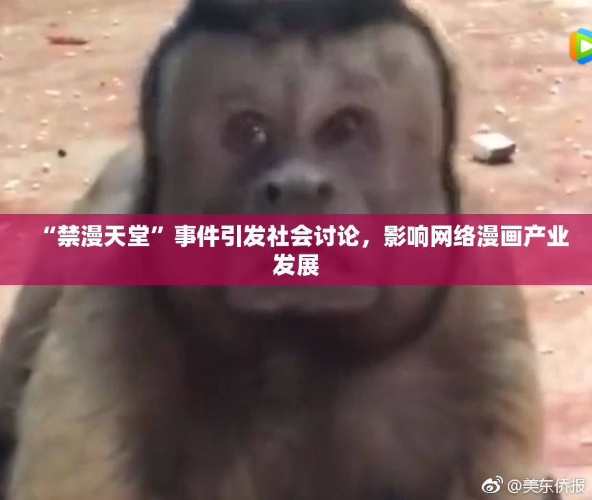 “禁漫天堂”事件引发社会讨论，影响网络漫画产业发展