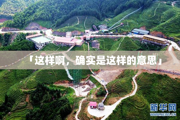 「这样啊，确实是这样的意思」