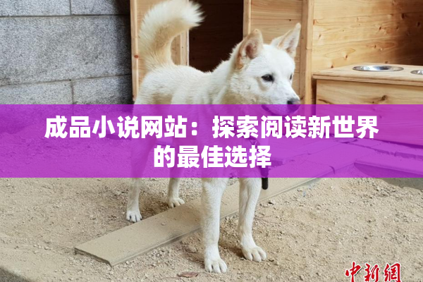 成品小说网站：探索阅读新世界的最佳选择