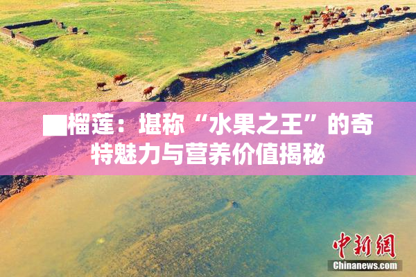 ▇榴莲：堪称“水果之王”的奇特魅力与营养价值揭秘