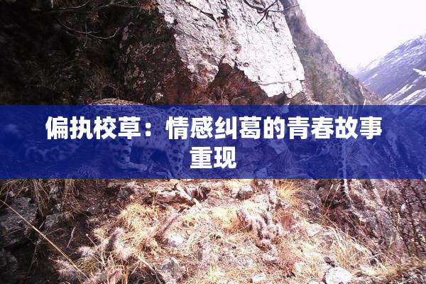 偏执校草：情感纠葛的青春故事重现