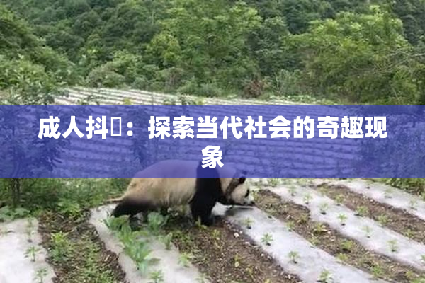成人抖抈：探索当代社会的奇趣现象