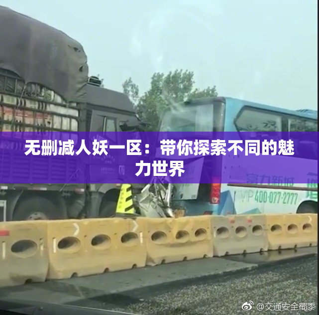 无删减人妖一区：带你探索不同的魅力世界